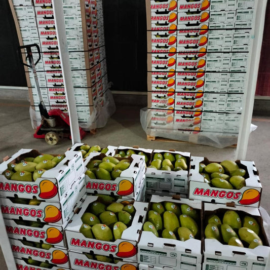 Mango