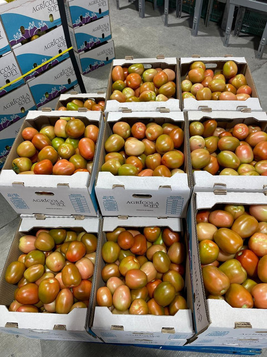Fresh Tomato