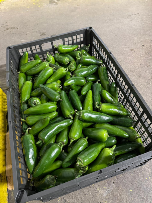 Jalapeno Peppers Medium Size (35 lb Crate)