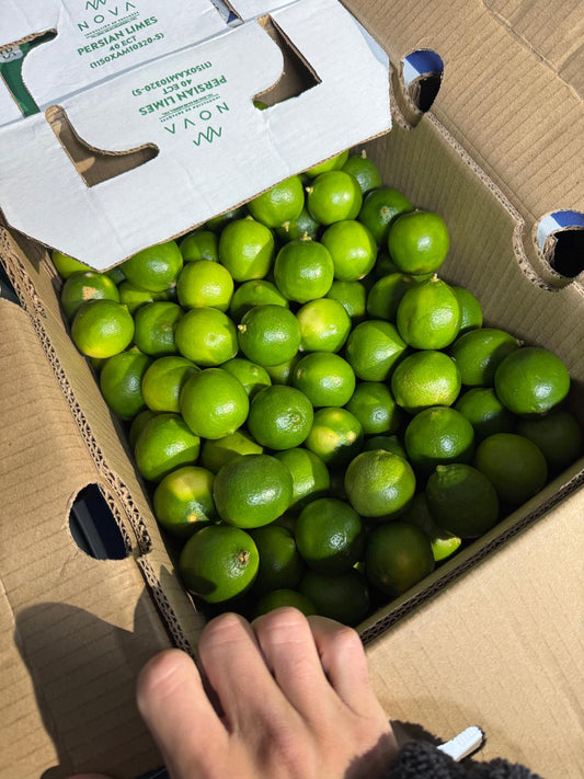 Persian Lime (box of 230ct)